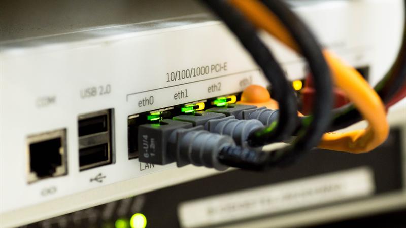Network switch ports with patch cables and active link lights